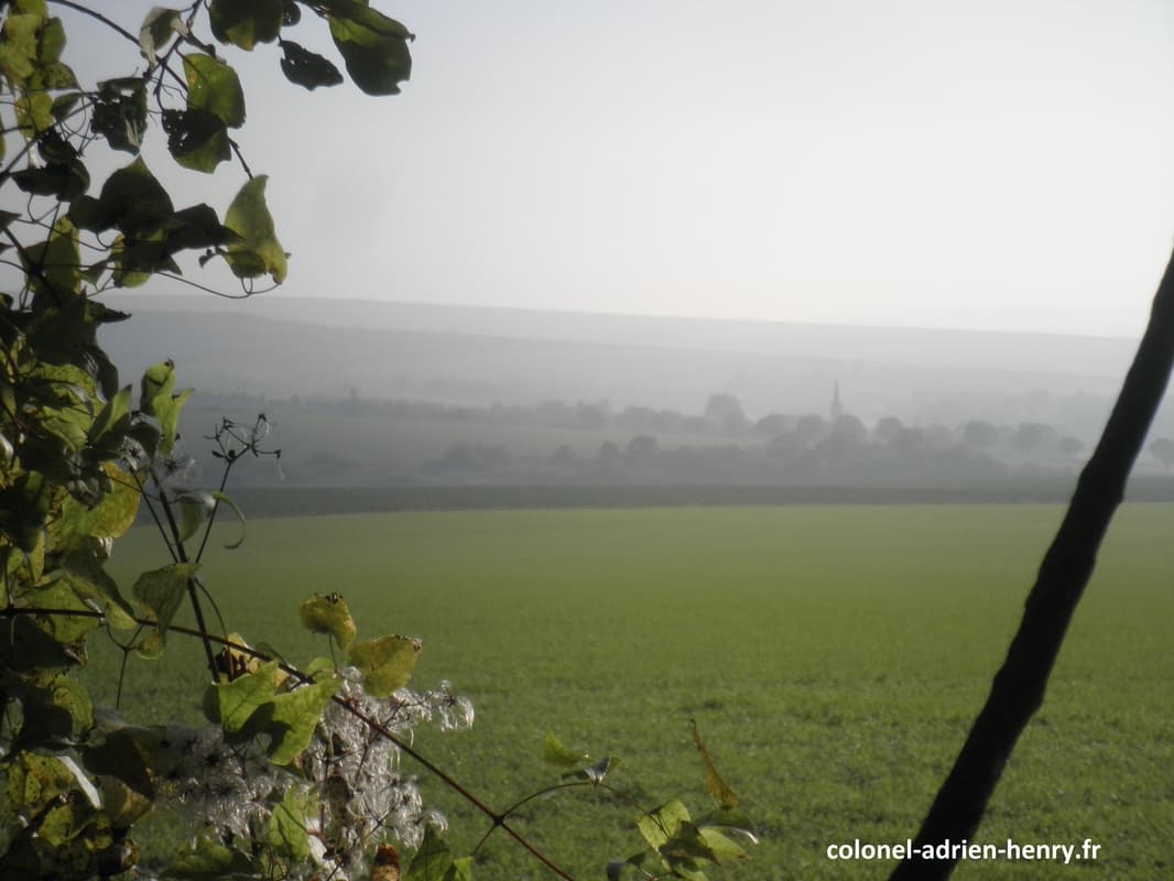 Vue vers l'arrière en direction de Lacroix-sur-Meuse