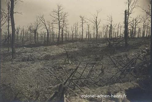 Bois de la Gruerie en Argonne