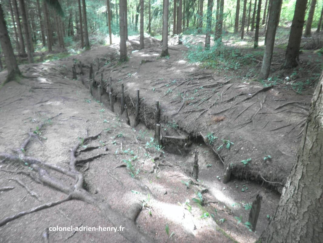 Boyau de tranchée menant au front