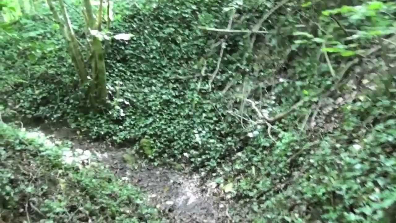 1915 : Bois-le-Prêtre