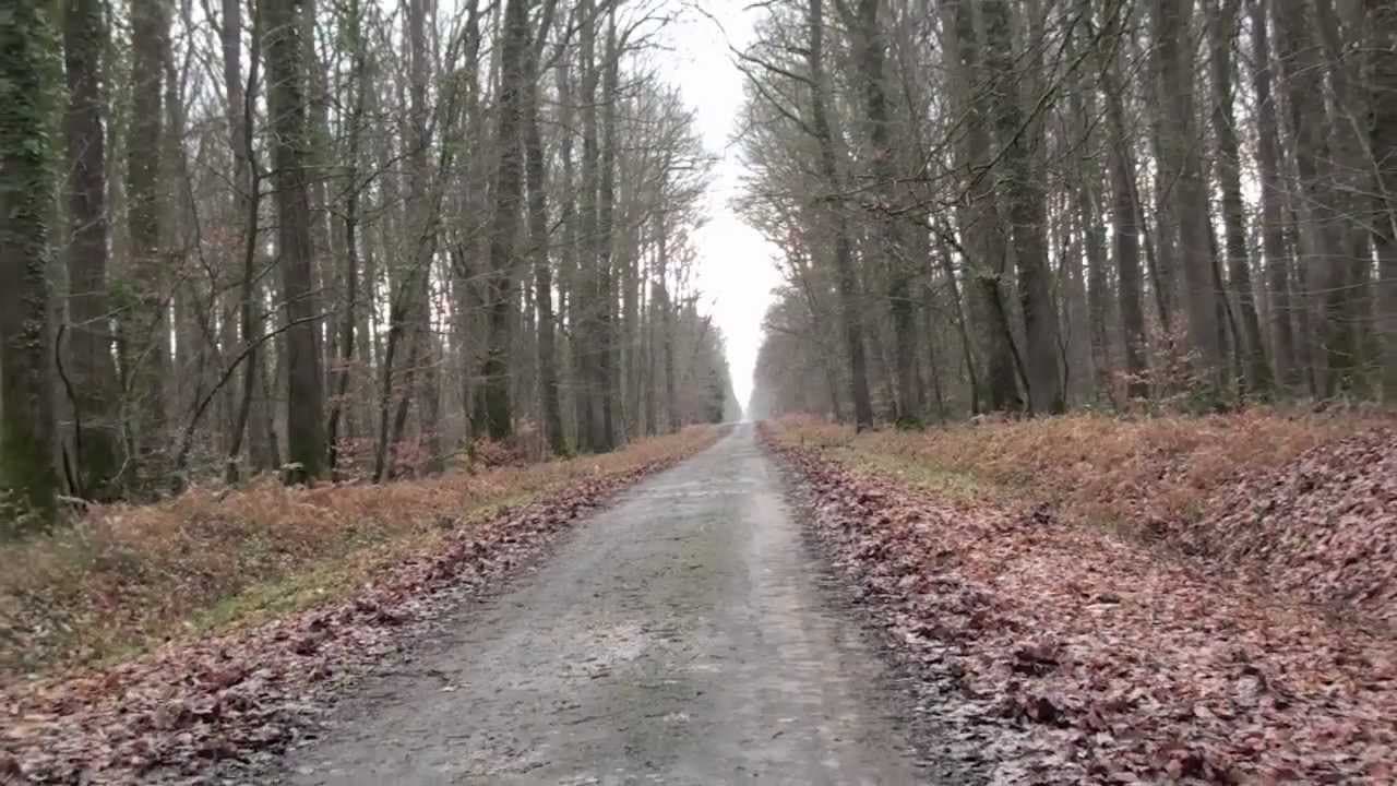 Août 1944 : la gendarmerie de l'Indre lors des combats du Poinçonnet