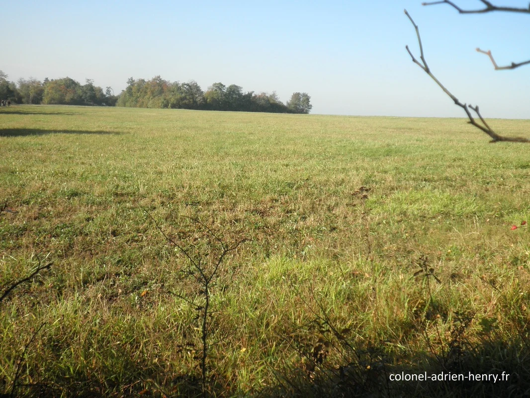 Bois de la Selouze entre Lacroix-sur-Meuse et Lamorville