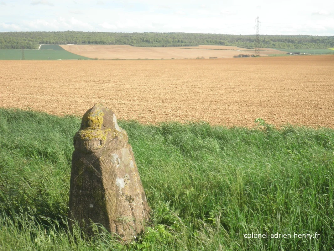 Ligne de front du 161e RI