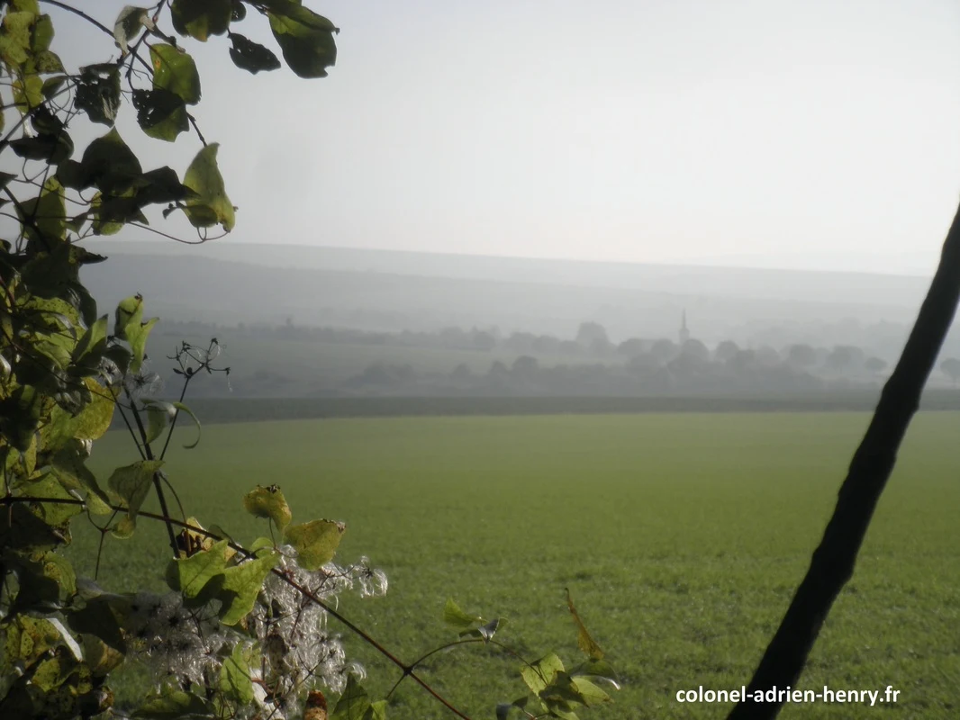 Vue vers l'arrière en direction de Lacroix-sur-Meuse