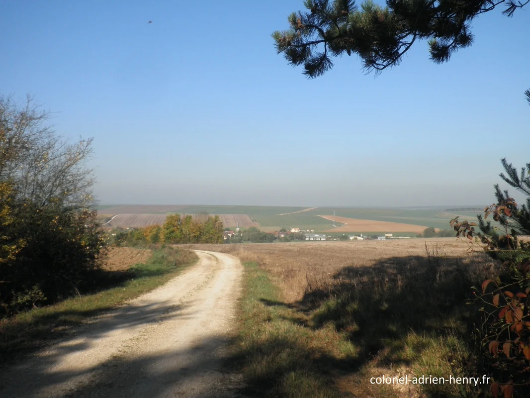 Vue depuis le bois de Spada