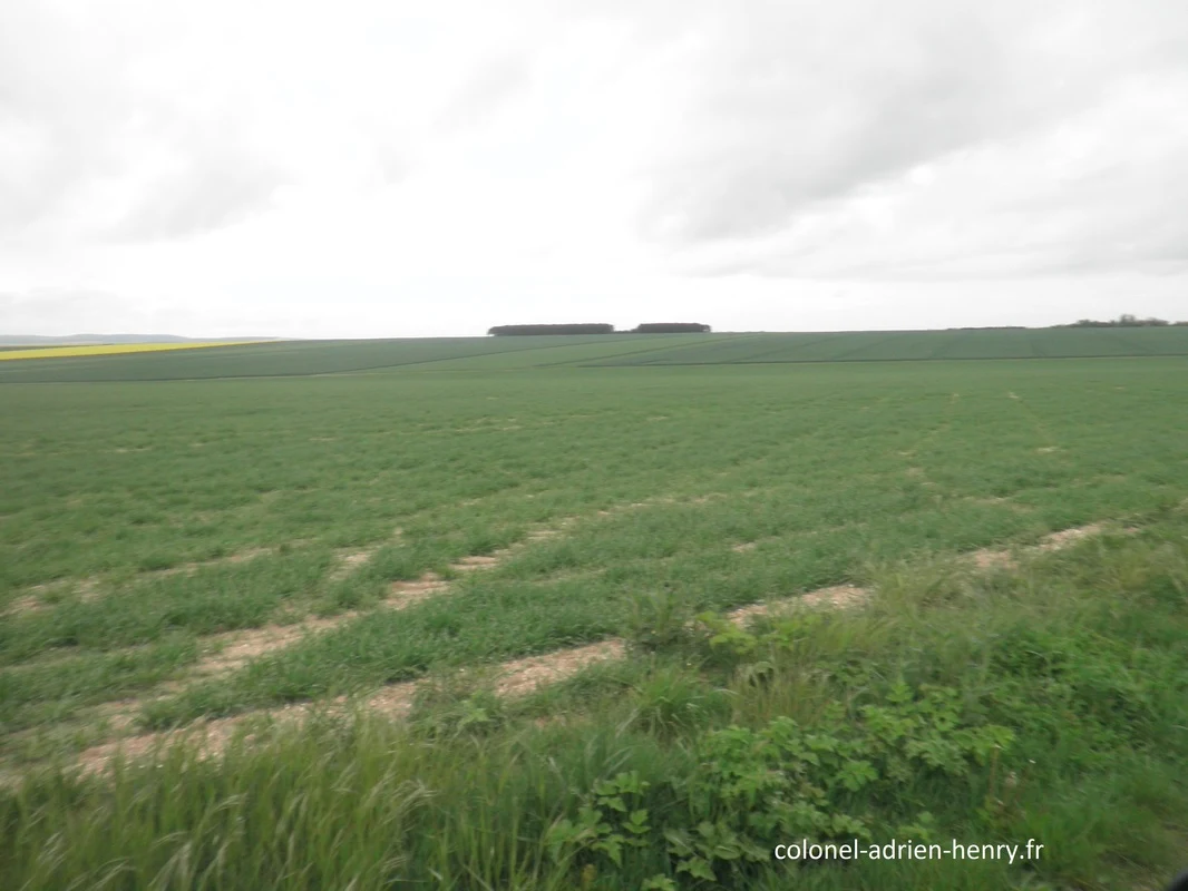 Paysage actuel du lieu de l'attaque de la 40e DI